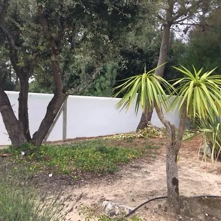 Naia Proche Mer Et Foret * Saint-Georges-d'Oleron